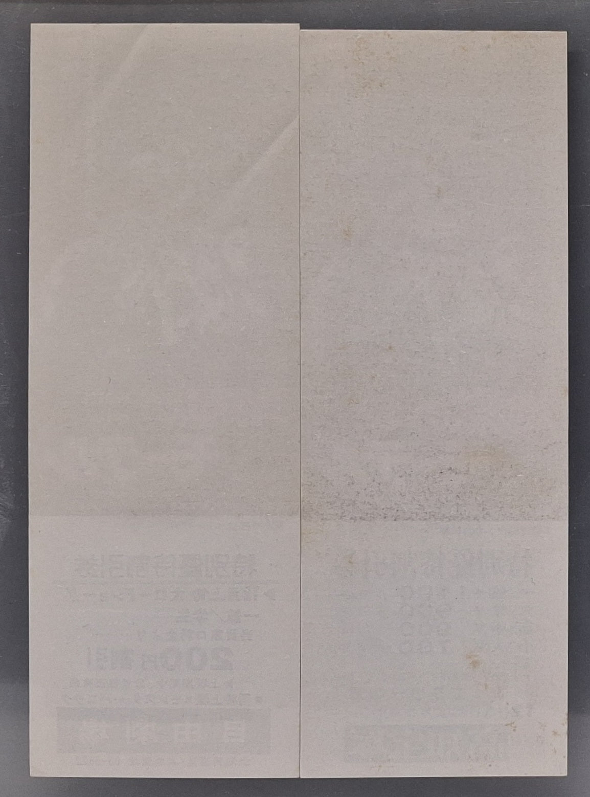 Motel Hell Japanese unused discount movie voucher